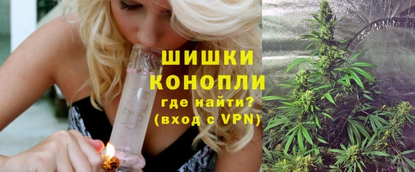 дживик Богородицк