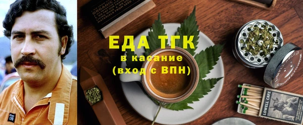 дживик Богородицк