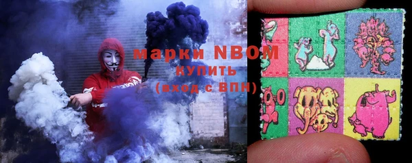 дживик Богородицк