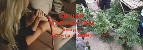 дурь Богданович