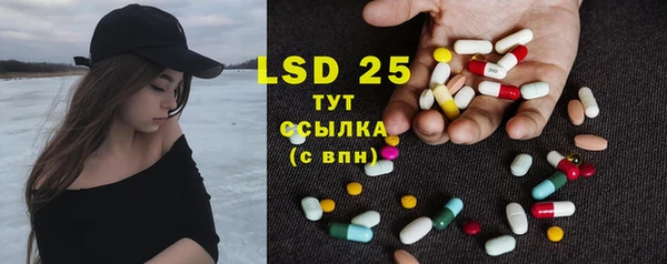 дживик Богородицк