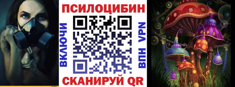 Купить  Ревда  Псилоцибиновые грибы мицелий 
